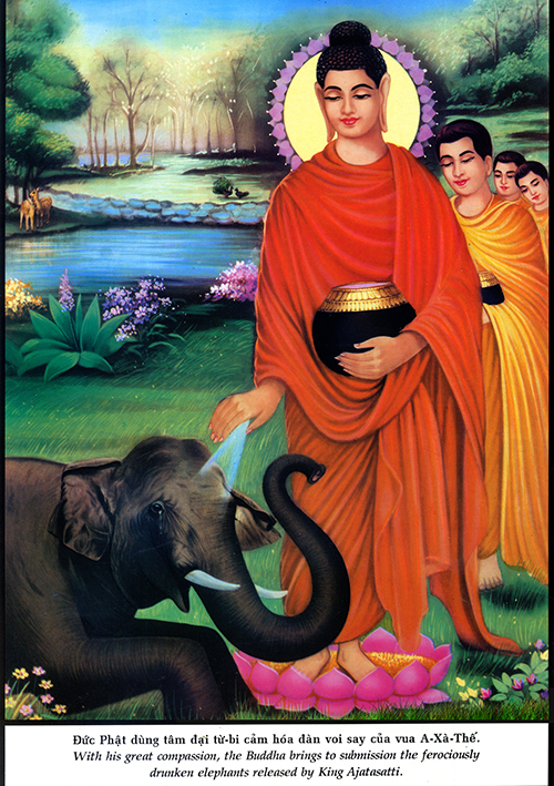 Tranh bộ tiểu sử Phật Bổn Sư Thích Ca (2750)